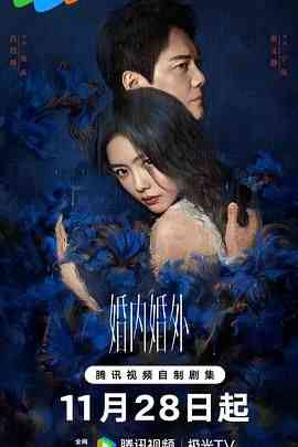 《婚内婚外》免费高清无广告在线播放|剧情,内地剧,国产·中国大陆·2024