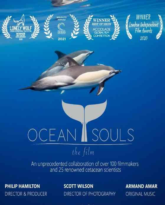 《海洋之魂》免费高清无广告在线播放|纪录片·英国·2020