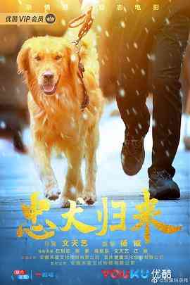 《忠犬归来》免费高清无广告在线播放|剧情·中国大陆·2020