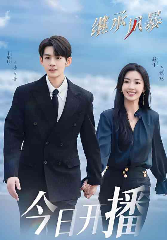 《继承风暴》免费高清无广告在线播放|悬疑,都市,爱情·中国大陆·2025