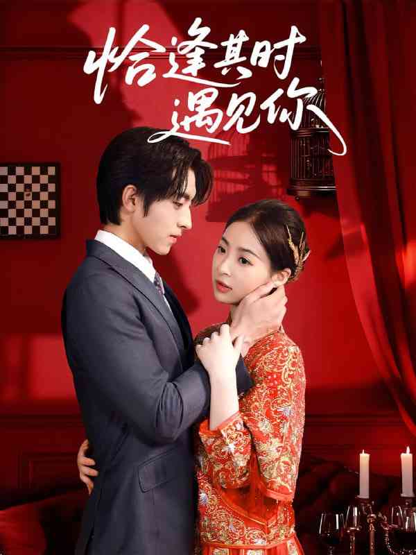 《恰逢其时遇见你》免费高清无广告在线播放|短剧·中国大陆·2025