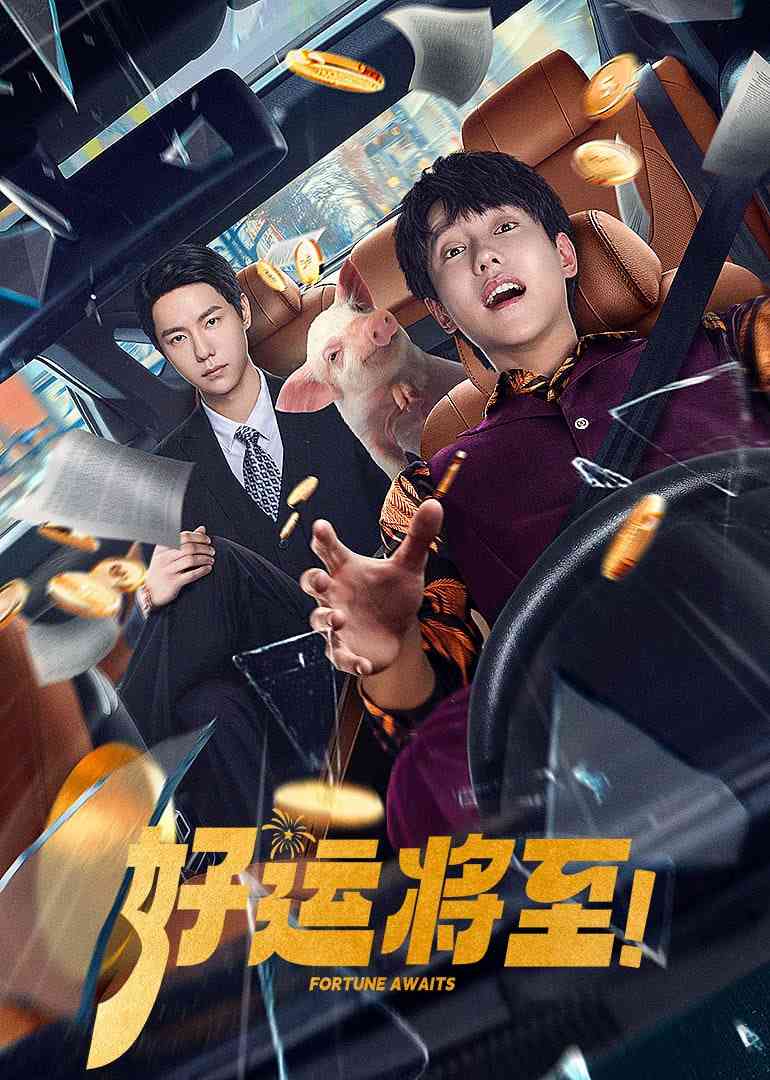 《好运将至》免费高清无广告在线播放|剧情·中国大陆·2025