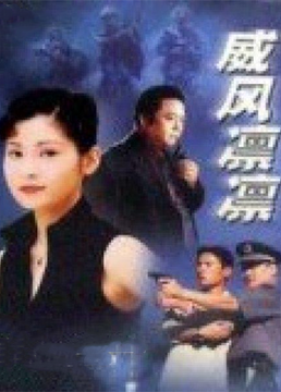 《威风凛凛》免费高清无广告在线播放|犯罪·大陆·2003