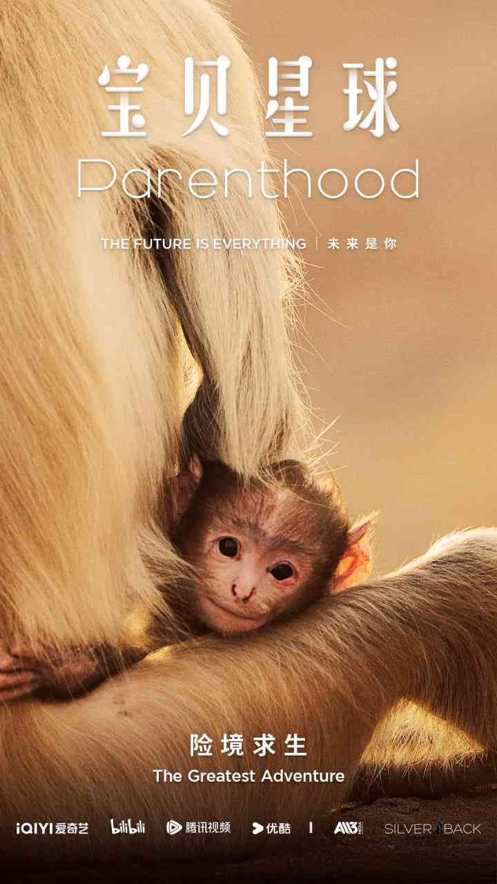 《宝贝星球》免费高清无广告在线播放|纪录片·英国·2025