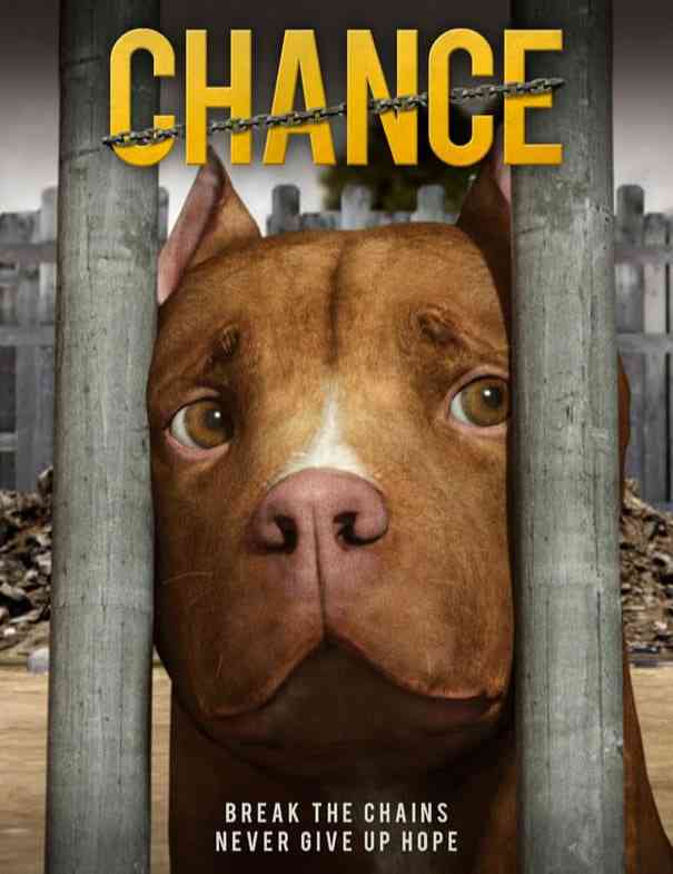 《机会》免费高清无广告在线播放|动画·美国·2021