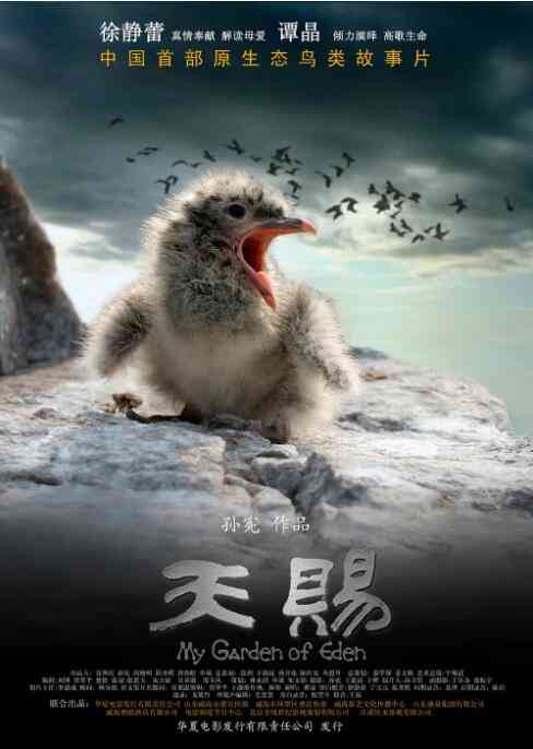 《天赐》免费高清无广告在线播放|纪录·中国大陆·2010