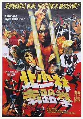 《北少林南跆拳》免费高清无广告在线播放|动作·中国台湾 / 韩国·1984