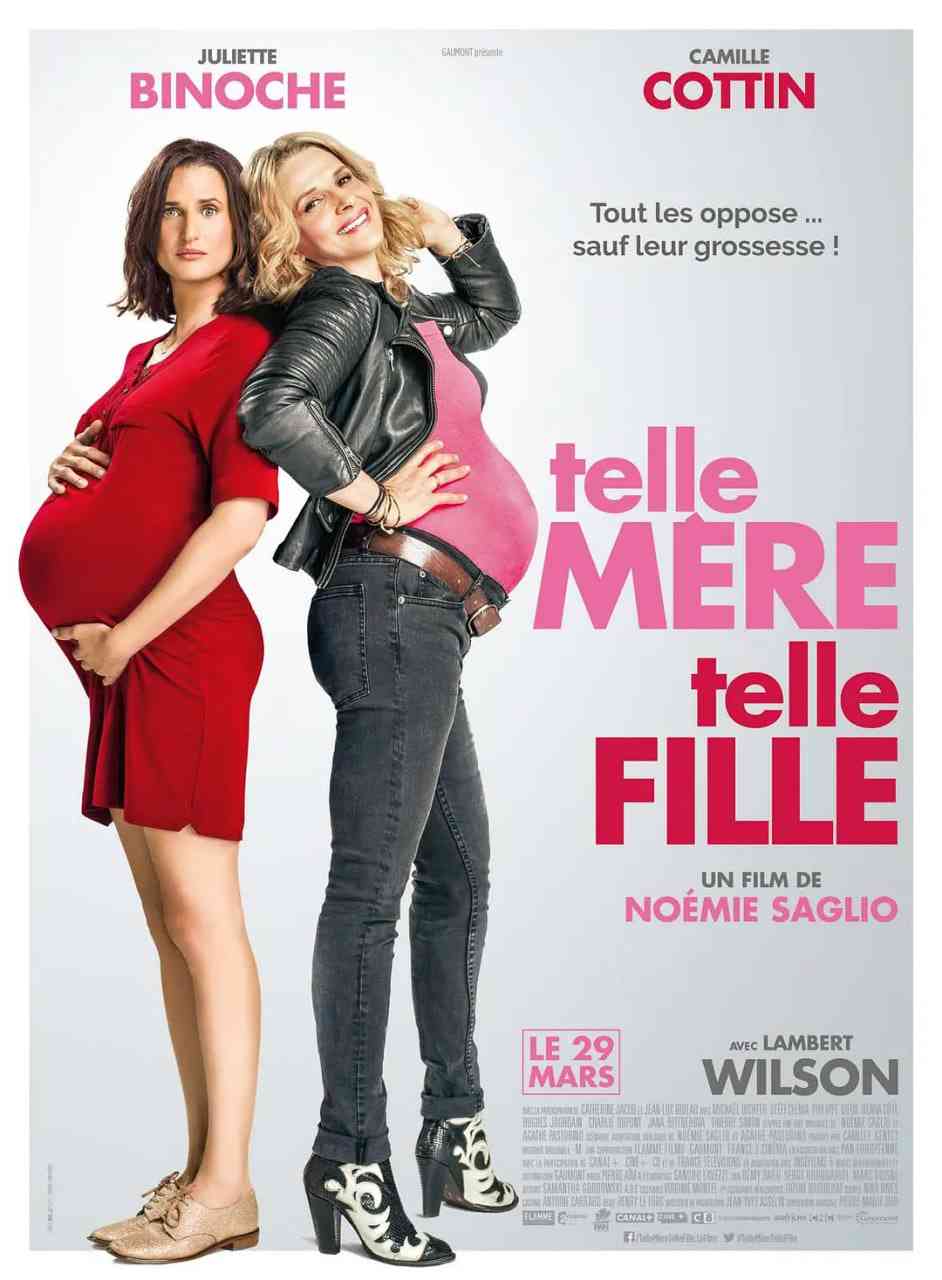 《好孕成双》免费高清无广告在线播放|喜剧·法国·2017