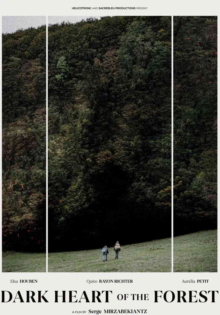 《森林的黑暗心脏》免费高清无广告在线播放|剧情·比利时,法国·2021