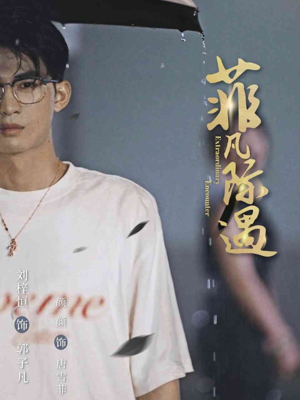 《菲凡际遇》免费高清无广告在线播放|短剧·中国大陆·2025